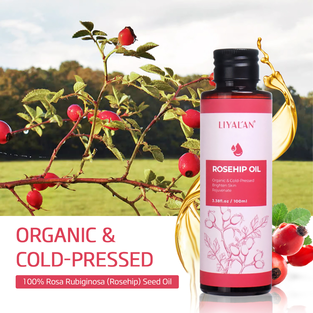 100ml Rosehip Oil Brighten Fir – Cold Pressed Rose Hip Bewertung und Preis